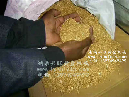 黃金豐收 (4) 黃金豐收 (4)